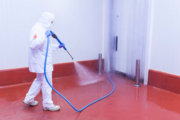 Best Dumpster Area Cleaning  in Pinehurst, ID